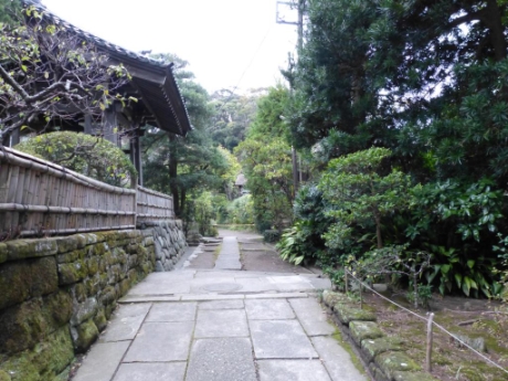 画像18